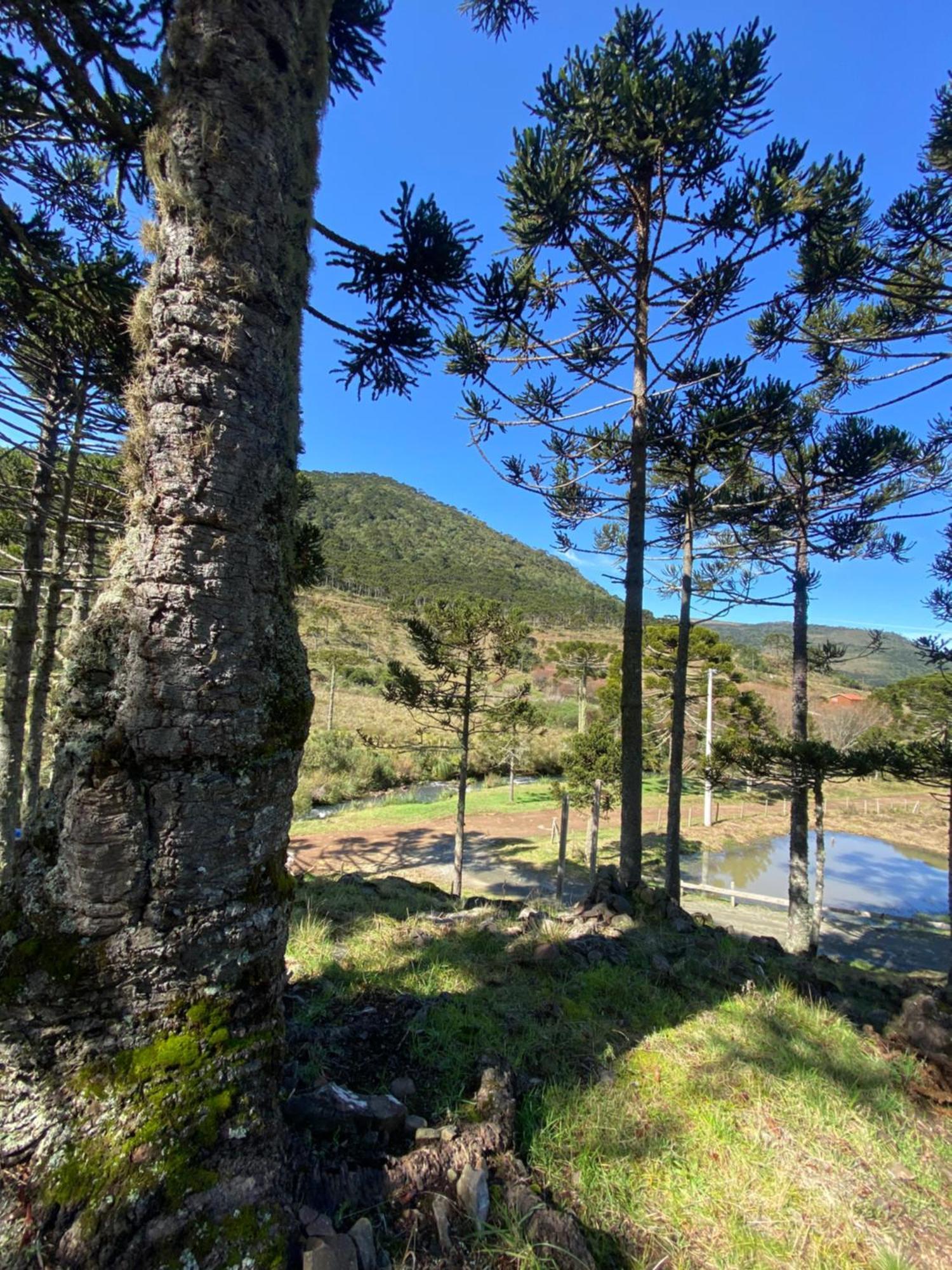 Estalagem Villa Serrana Urubici Exterior foto
